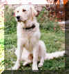 20000721Jessie.jpg (29840 octets)