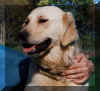 20001101-Jessie.jpg (23999 octets)
